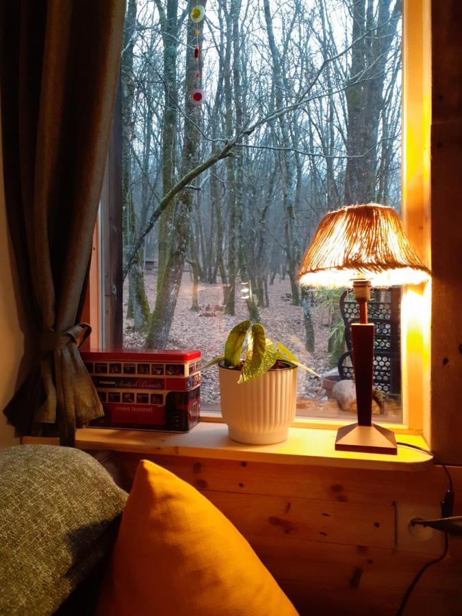 Le Gite De La Cabane De L'Oiseau Couze-et-Saint-Front Εξωτερικό φωτογραφία